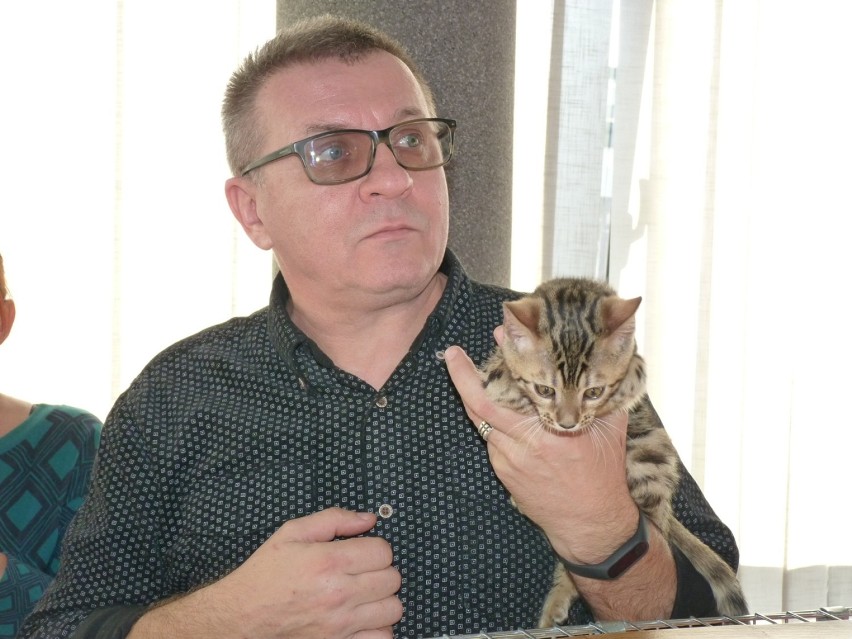 Wystawa kotów rasowych z okazji Dnia Kota w Miejskim Domu Kultury w Radomsku [ZDJĘCIA]