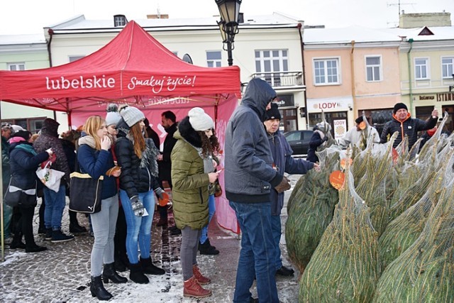 Chełm. Na pl. Łuczkowskiego rozdali choinki