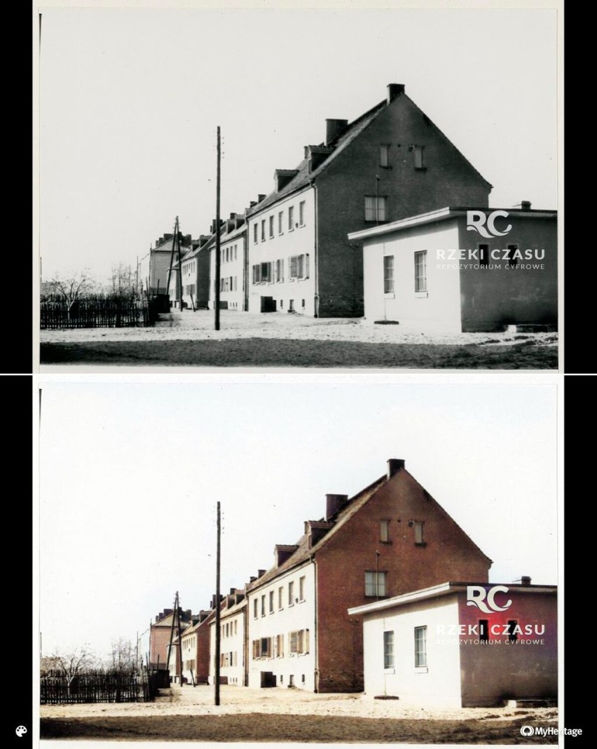 Oborniki. Fotograficzny obraz miasta z lat 60 XX wieku w kolorze