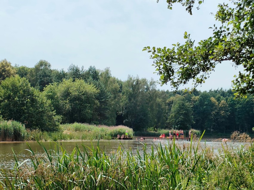 Aż trudno w to uwierzyć! Ta plaża świeci pustkami... nawet u szczytu sezonu! Jest tuż obok Gliwic. Byliście tam? ZDJĘCIA