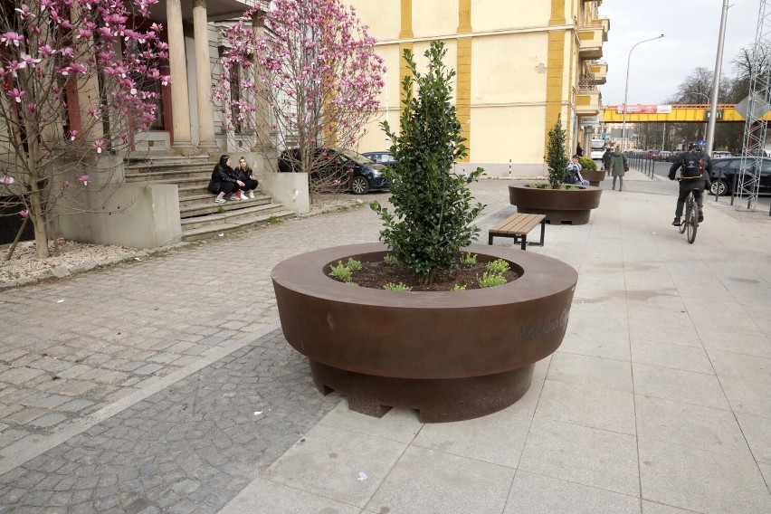 Pojawiły się nowe mobilne ogrody miejskie przy ulicy Pocztowej w Legnicy, zdjęcia