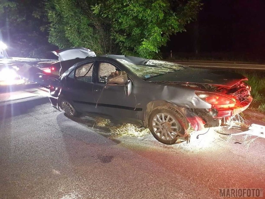 Wypadek na DW 401 pod Nysą. 29-latka siedząca za kierownicą...