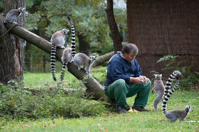 Wrocławskie ZOO