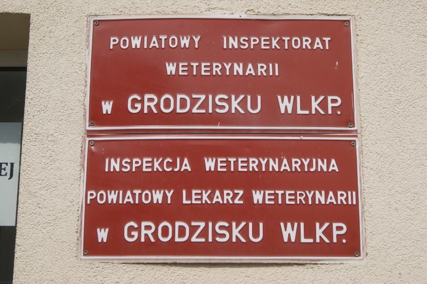 Protestują pracownicy Powiatowego Inspektoratu Weterynarii w Grodzisku Wielkopolskim