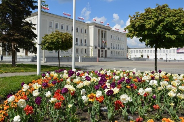 W Stalowej Woli ruszyły konsultacje na temat przebudowy Placu Piłsudskiego i utworzenia w jego rejonie Zielonych Ogrodów