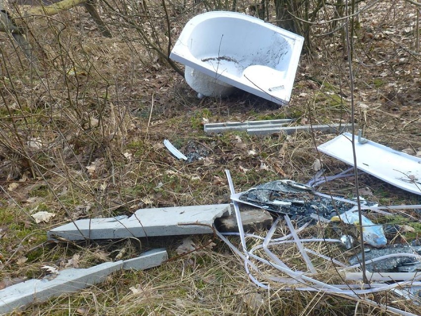 Śmieci w lesie nadleśnictwa Durowo