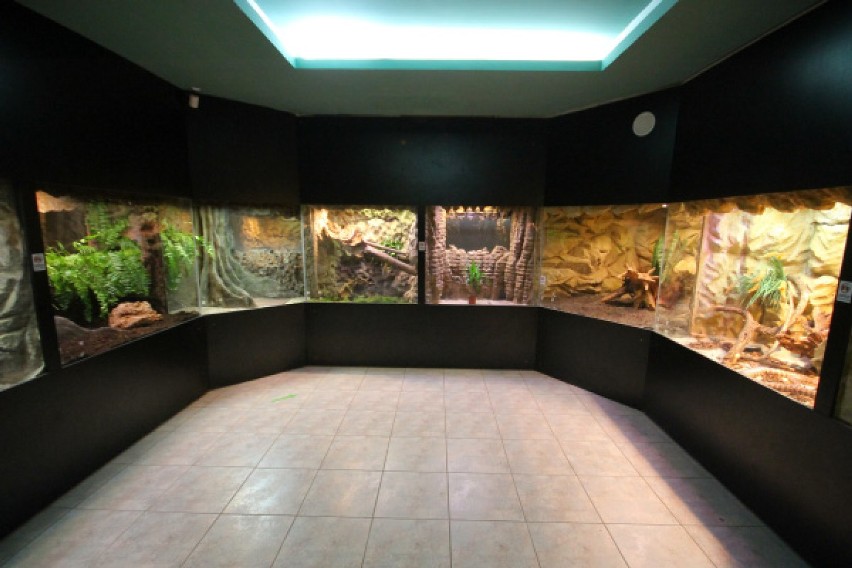 Remont Aquarium