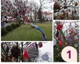 Świąteczne drzewka w Parku Miejskim w Pińczowie. Które zwycięży w konkursie? (ZDJĘCIA)