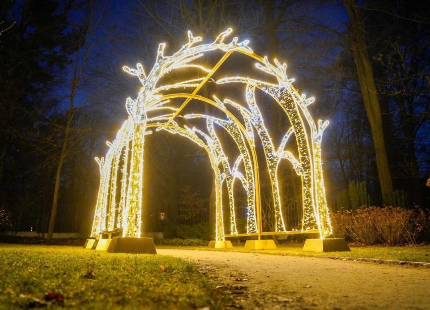 Świąteczne iluminacje w Parku Oliwskim jak co roku...