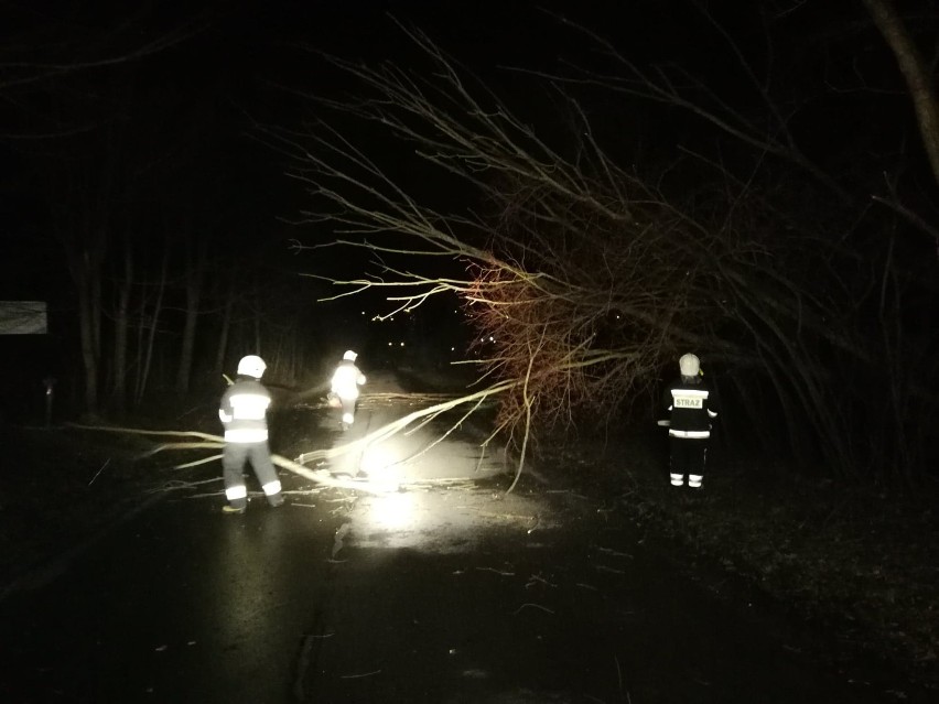 Powiat cieszyński: trwa usuwanie skutków nocnej wichury (ZDJĘCIA)