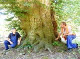 Potężne drzewo w Kargowej jest najgrubszym bukiem w Polsce. Teraz może stać się wizytówką gminy [WIDEO, ZDJĘCIA]