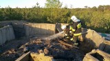Pożar w Helu - 8.05.2015. Strażacy OSP Hel i WSP Hel gasiły las | ZDJĘCIA