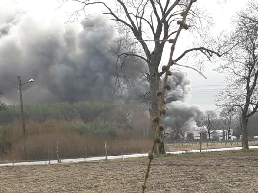 Pożar kurnika w Darnowie w gminie Kępice. Akcja strażaków jeszcze trwa (zdjęcia, wideo)