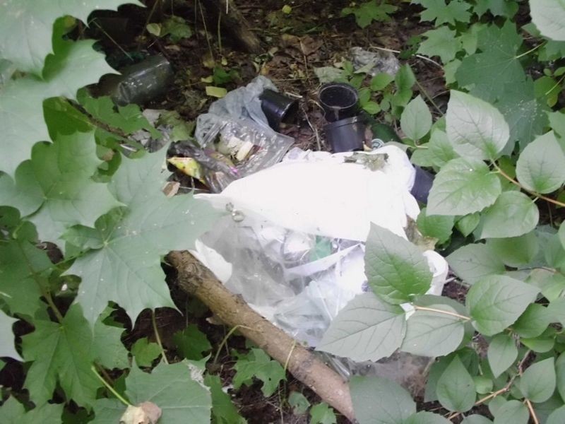 Sosnowiec: Kupa śmieci w parku przy ul. Braci Mieroszewskich w Zagórzu [ZDJĘCIA]