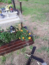 Zabrze: wandale zbeszcześcili groby na cmentarzu w Makoszowach. ZDJĘCIA