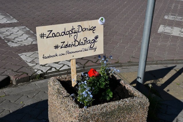 #ZaadoptujDonice