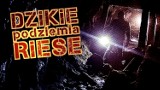 W tej sztolni ukrywał się morderca. Niebezpieczny urbex opuszczonego kompleksu Riese w Górach Sowich