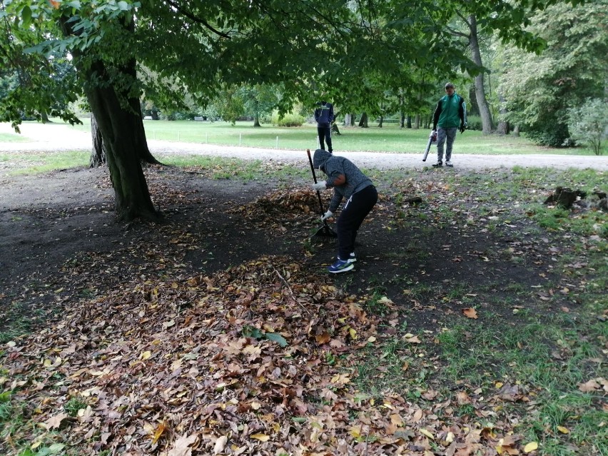 Uczniowie SOSW robią porządki w parku w ramach praktyk