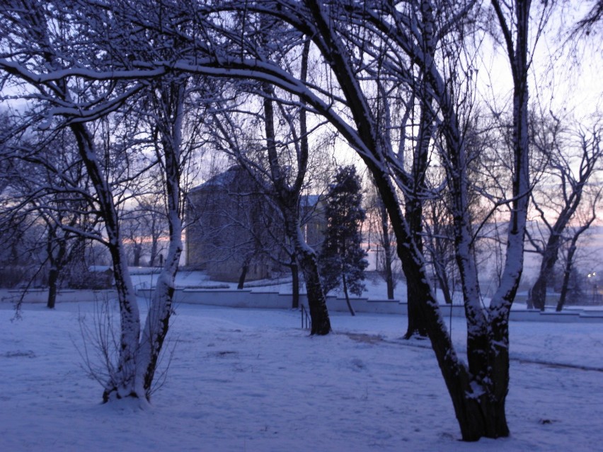 Zima w Puławach