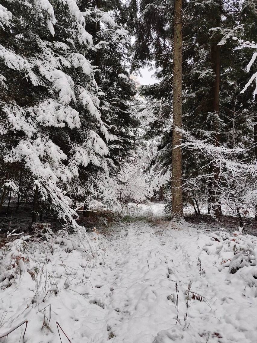 - Matka natura naprawdę nas obdarowała w tym roku pięknymi...