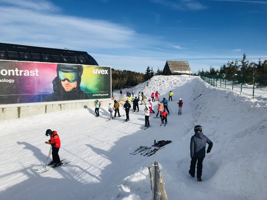 Beskid Śląski. Tuż pod szczytem Skrzycznego znów szusuje...