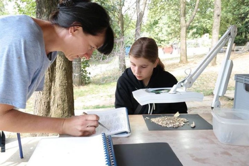 Piknik paleontologiczny w Łutowcu: każdy mógł znaleźć skarby, które skrywa Jura
