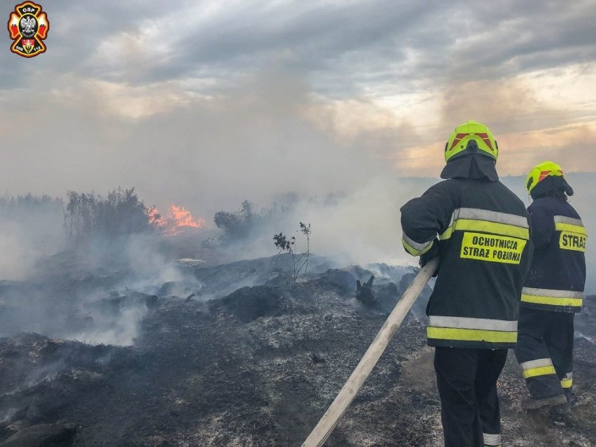 Duży pożar suchej trawy i odpadów w Sokołowicach. Ogień objął powierzchnię 20 arów!