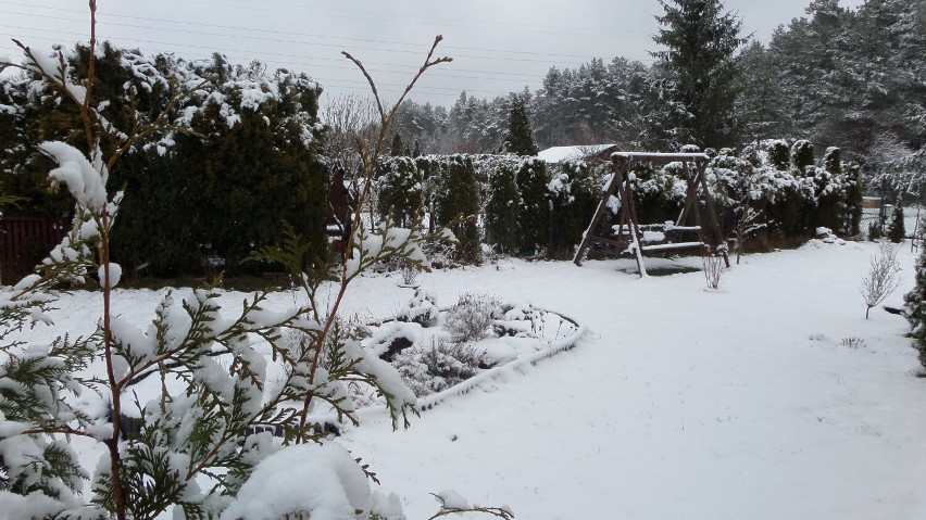Zima w kwietniu w myszkowskich ogródkach działkowych ZDJĘCIA