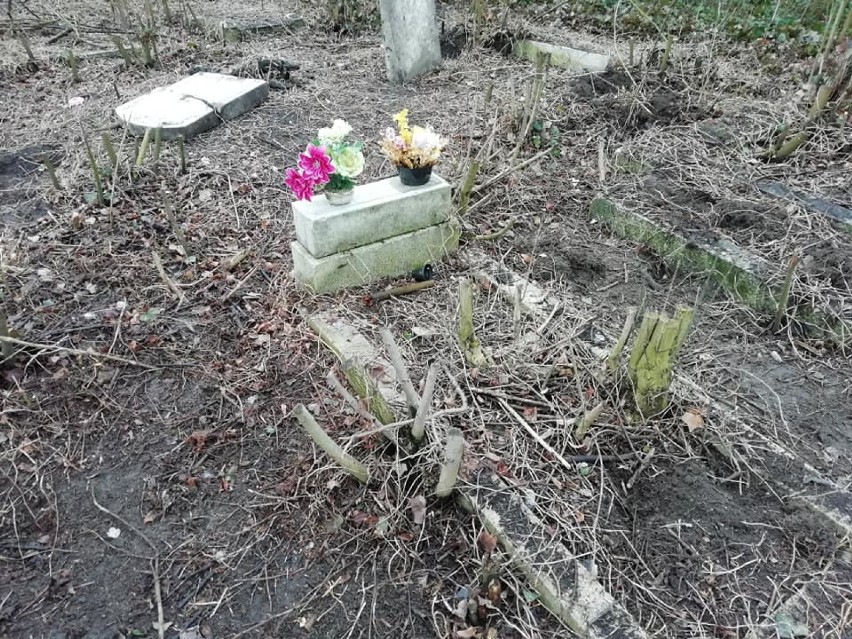 Września: Ludzie Wrześni: Błażej Śniegowski - społecznik, który porządkuje zapomniane cmentarze ewangelickie [FOTO]