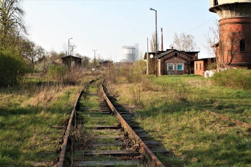 Góra. PKP SA wydało zgodę na przejęcie linii kolejowej 372 Góra-Bojanowo, którą samorząd województwa chce reaktywować