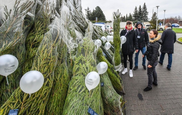 W sobotę (14 grudnia) odbyła się pierwsza odsłona drugiej edycji Karma wraca - Bydgoszcz już za nami. Przed Urzędem Gminy w Osielsku rozdanych zostało 100 choinek. Mieszkańcy regionu, którzy przynieśli koc, kołdrę, dywanik, zabawki, legowiska, przysmaki lub karmę dla zwierząt, mogli odebrać bożonarodzeniową choinkę.

W niedzielę także będzie szansa na zdobycie pachnącej choinki. Zapraszamy pod Centrum Handlowe Focus Mall w Bydgoszczy od godziny 12:00. Na mieszkańców czekać będzie 150 choinek.