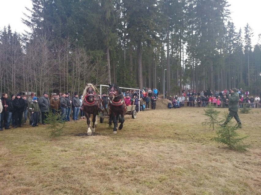 Zawody Furmanów w Istebnej odbyły się po raz 13.