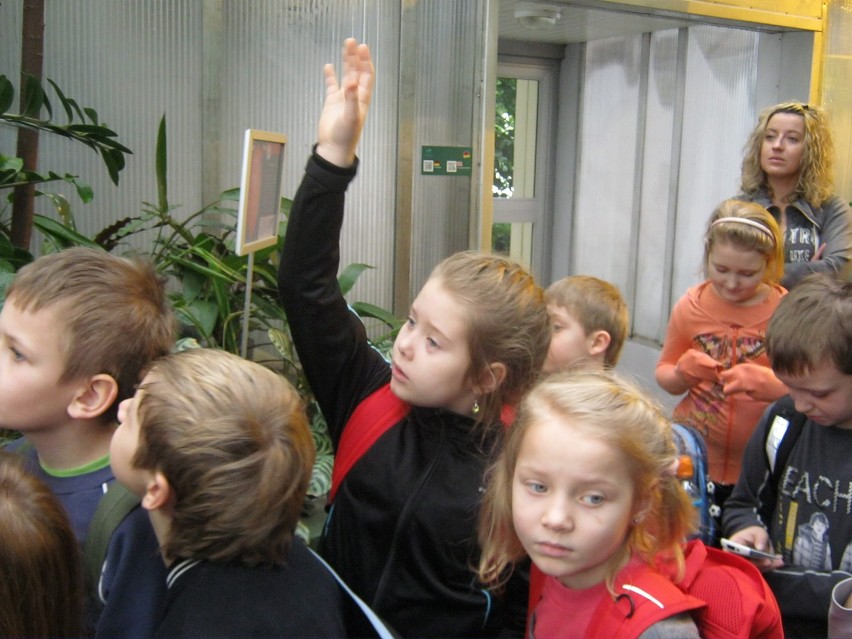 Ferie Żory 2013: Dzieci z klubu Rebus pojechały na wycieczkę do Palmiarni do Gliwic. Było super! FOT