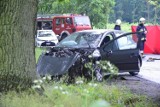 Śmiertelny wypadek na drodze Racot-Gryżyna [FOTO]
