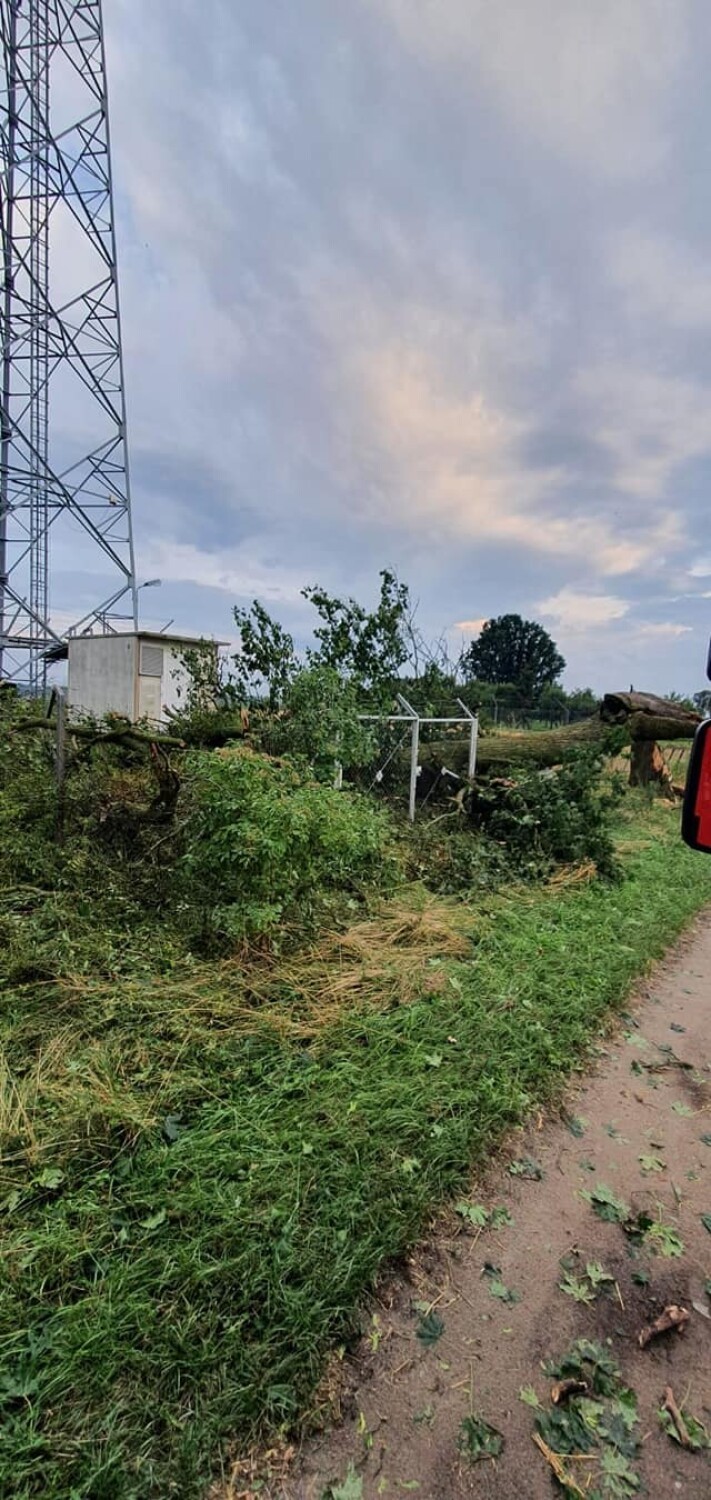 Nawałnica z gradobiciem w gminie Gniew - połamane drzewa, zniszczone uprawy. Straty idą w tysiące