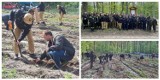 W jeden dzień zasadzili 1600 drzew. Wspólna akcja służb mundurowych z Konina i powiatu konińskiego