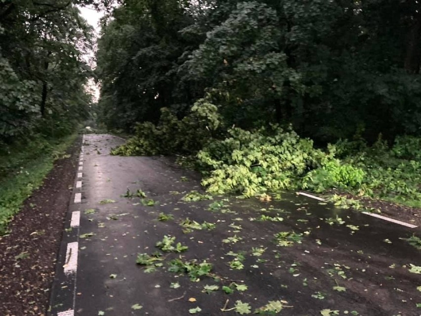 Skutki burzy nad Wrocławiem. Zobaczcie zdjęcia [GALERIA]