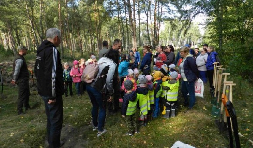 Młode pokolenie brało udział w pożytecznej akcji. Sadzili las, by pokazać, że zależy im na przyrodzie