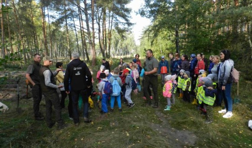 Młode pokolenie brało udział w pożytecznej akcji. Sadzili las, by pokazać, że zależy im na przyrodzie