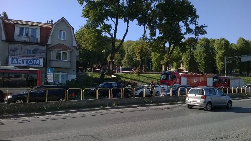 Wypadek na Trakcie św. Wojciecha w Gdańsku. Na przystanek spadło drzewo [WIDEO, ZDJĘCIA]