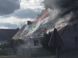 Pożar w Sękowie. Cztery rodziny straciły dach nad głową [AKTUALIZACJA, ZDJĘCIA]