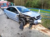 Wypadek w Dąbrówkach Breńskich. Opel uderzył w bariery na mostku. Karetka pogotowia zabrała kierującą do szpitala [ZDJĘCIA]
