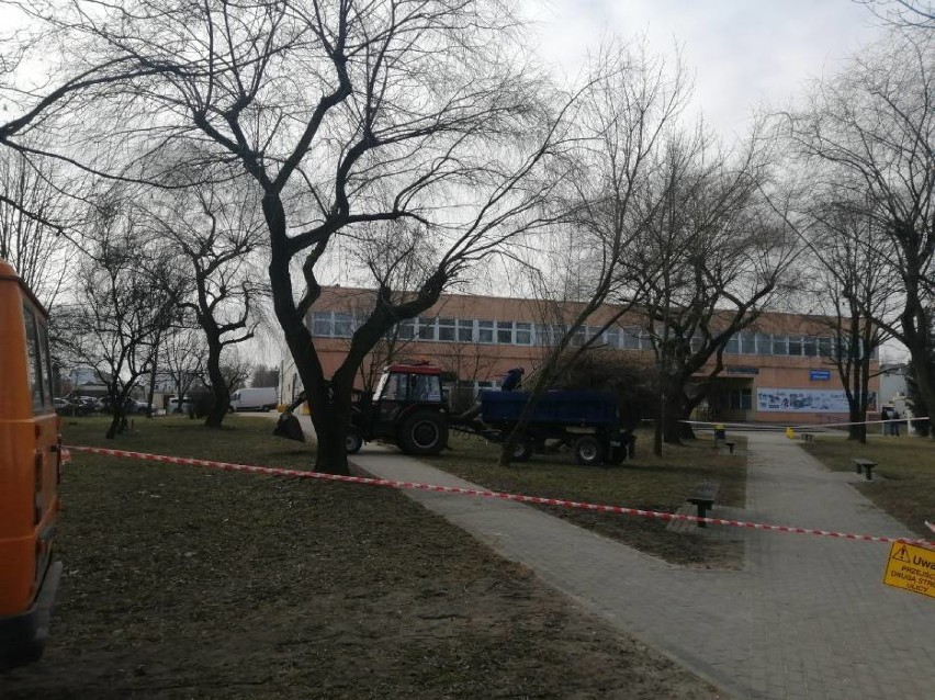 W Skierniewicach mieszkańcy bloków należących do SSM stawiają zarzuty prezesowi. Zaczęło się od wycinki drzew