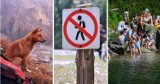Tatry. Z psami, kotami, poza szlakiem, w wodzie...  Te zakazy są najczęściej łamane przez turystów w górach. 