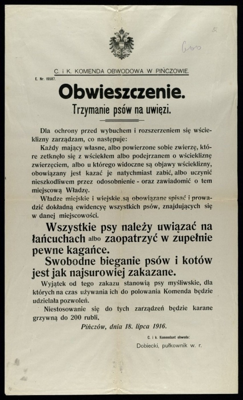 Afisz C. i K. Komendy Obwodowej w Pińczowie, 1916 rok.

>>>...