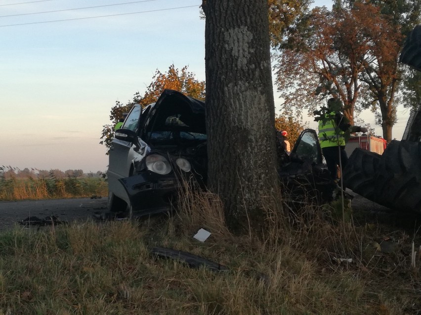 Żuławy i Mierzeja. Raport służb mundurowych