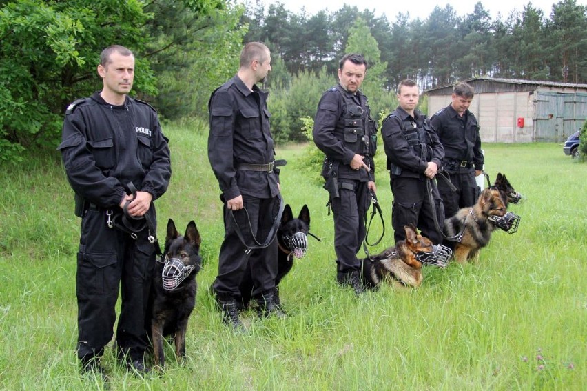 Fachowcy oceniali sprawność policyjnych psów