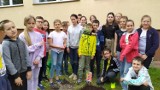 Uczniowie Szkoły Podstawowej nr 6 w Chełmie posadzili jabłonkę ku czci swojej Patronki – Ireny Sendlerowej