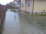 Orkan Grzegorz na Pomorzu. Wiatr do 110 km/h, na Bałtyku sztorm