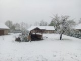 Białystok i region. Śnieg w maju. Zmiana pogody 12.05.2020 [zdjęcia]